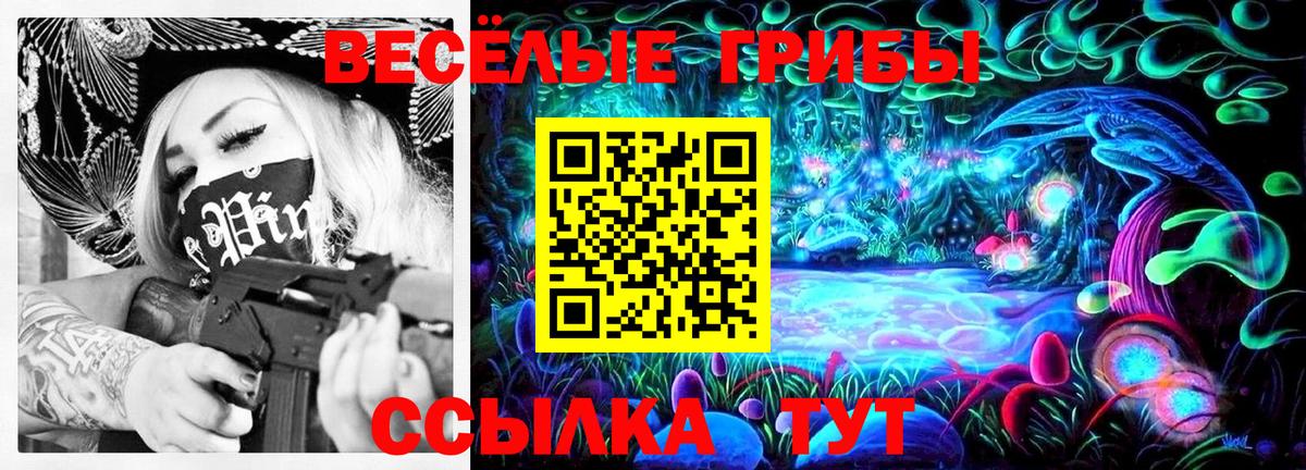 Галлюциногенные грибы GOLDEN TEACHER Вязники